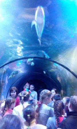 /Files/images/osn_2017/IMG-4d6d47090a9261c22404c29d73a000ca-V.jpg